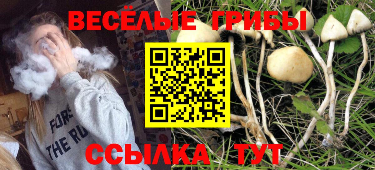 Псилоцибиновые грибы ЛСД  Псилоцибиновые грибы мицелий  Санкт-Петербург  Вход с VPN 